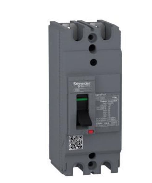 INTERRUPTOR AUT CAJA MOLD 2P FIJO 30A 30KA 380/415VAC EASYPACT EZC100H EZC100H2030