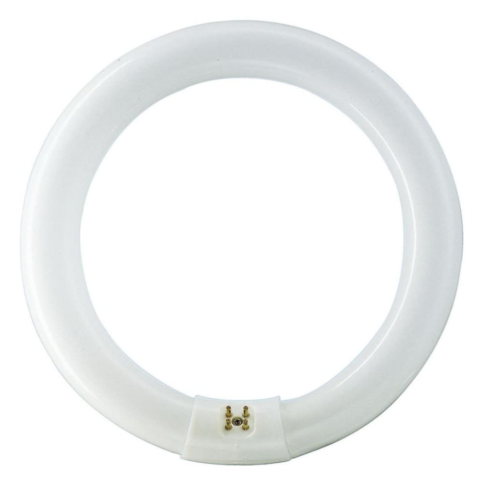 LAMPARA FLUORESCENTE CIRCULAR 32W 6200K G10Q 81V TL-E